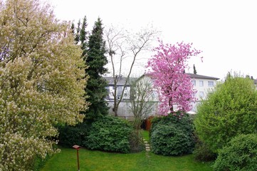 Garten © Helmut.H