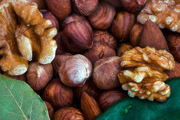 Almonds, walnuts and hazelnuts. Without shell. Schifler's leaf and laurel