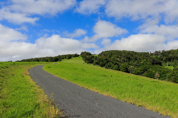 country road in the countryside