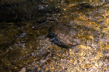 water flowing in the river