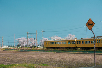 滋賀県、近江鉄道の春景色