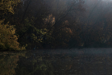 Dawn in the floodplain forest, waking birds in autumn