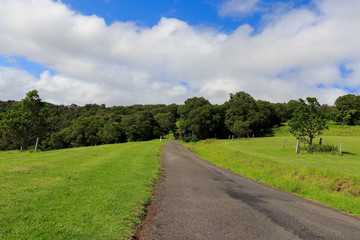 Fototapeta na wymiar road in the countryside, Kiama, NSW Australia