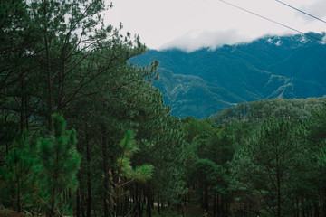 clouds over the mountains