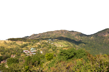 Fototapeta na wymiar The mountain is full of green forest isolate on white background