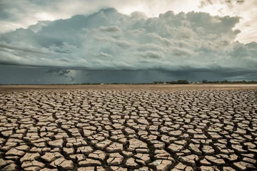 Fotobehang Climate change and drought land, Rainstorms are falling on the dry ground, Global warming concept, © Panya Studio