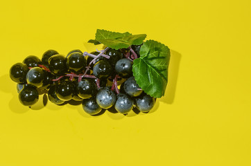 grapes with a yellow background
