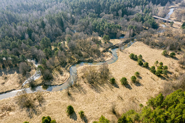 spring landscape of forest and small winding river. aerial drone photo