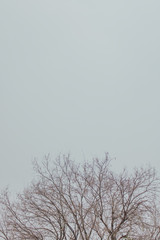 The minimalistic sky background and lined pattern.
