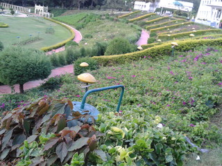 garden in the park