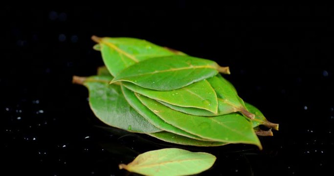 A bunch of Bay leaves rotates slowly.