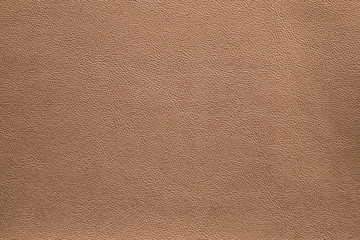 Fototapeta premium Leather texture background