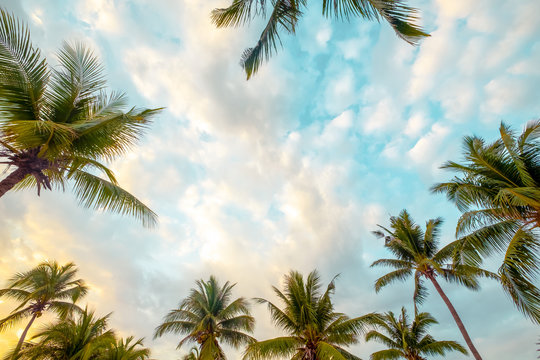 Beautiful seaside tropical beach background. Coconut palm tree and cloud over blue sky. summer vacation background concept. vintage tone