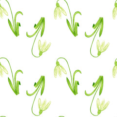 Seamless pattern with snowdrop flower on white background, hand painted watercolor illustration