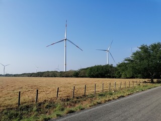 wind turbine in the field