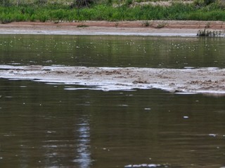 Rain Drops in A River
