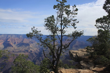 Obraz na płótnie Canvas Grand Canyon, AZ, USA