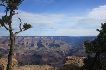 Grand Canyon, AZ, USA