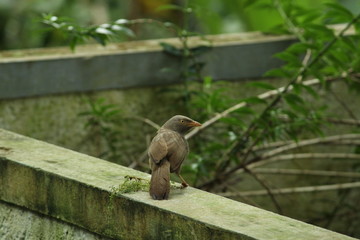 Beautiful nature and its different macro living forms 