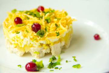 Pineapple salad with chicken, garnished with cranberries.