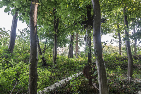 rostiges kreuz zwischen baeume in einem wald