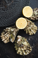 Close-up of unopened oysters and lemon on a dark brown stone surface with a metal fish cage in the background, vertical shot