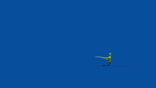 Compy Jurassic Dinosaur Runs Blue Screen Back 3D Rendering Animation
