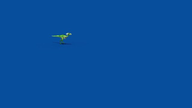 Compy Jurassic Dinosaur Runs Blue Screen Side 3D Rendering Animation