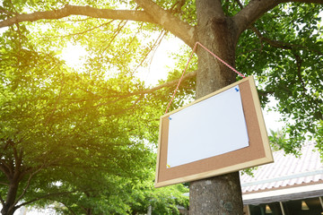 white paper post blank text message note on notice board hanging on tree in garden