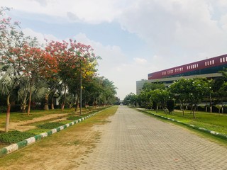spring in the park