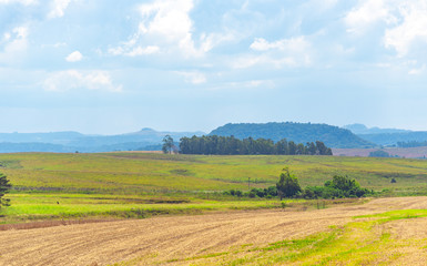 Obraz premium Soybean cultivation fields in southern Brazil after summer harvest