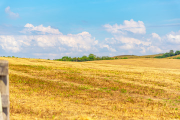 Soybean cultivation fields in southern Brazil after summer harvest