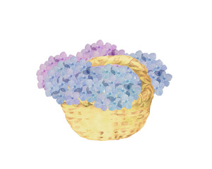 日本茶と紫陽花