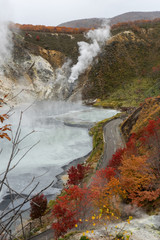 Japanese autumn colours I