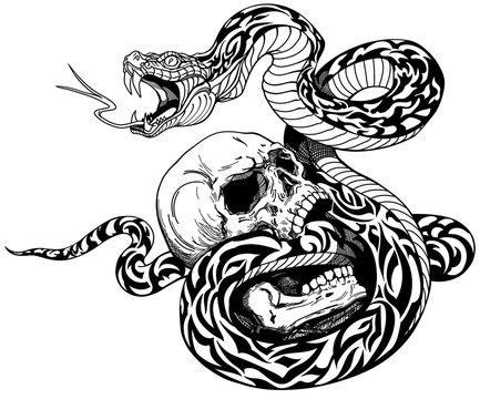 snake coiled around the broken human skull. Black and white tattoo. Vector illustration