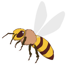 ミツバチ