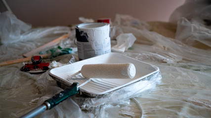 Paint Brush Roller Painting Project © Collin Magargee