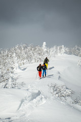 Fototapeta na wymiar skitouring in Hokkaido/Japan