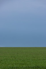 green field and blue sky