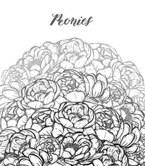 Vector illustration. Flower decoration of peonies. Handmade, background white, prints on T-shirts