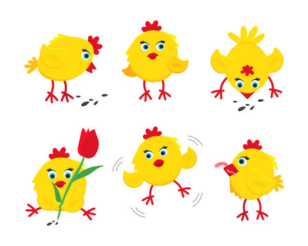 6 cute funny little chick chiken hen cartoon flat style design vector illustration set isolated on white background. Funny yellow chicken standing up on the ground.