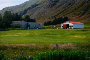 Cozy modern design farm and barn with a red roof against the backdrop of mountains in Iceland
