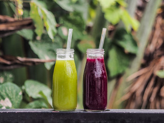 red and green healthy beetroot fruit and vegetable juice in a glass bottle with a straw and tropical green leaves 