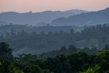 Traveling to see the sea of mist and sunrise in the morning at the view of Phu Lanka, Phayao Province, Thailand