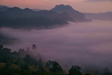Obraz premium Traveling to see the sea of mist and sunrise in the morning at the view of Phu Lanka, Phayao Province, Thailand