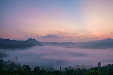 Traveling to see the sea of mist and sunrise in the morning at the view of Phu Lanka, Phayao Province, Thailand