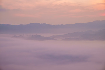 Traveling to see the sea of mist and sunrise in the morning at the view of Phu Lanka, Phayao Province, Thailand