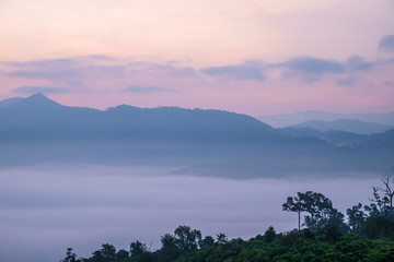 Traveling to see the sea of mist and sunrise in the morning at the view of Phu Lanka, Phayao Province, Thailand