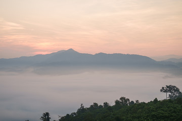 Fototapeta premium Traveling to see the sea of mist and sunrise in the morning at the view of Phu Lanka, Phayao Province, Thailand