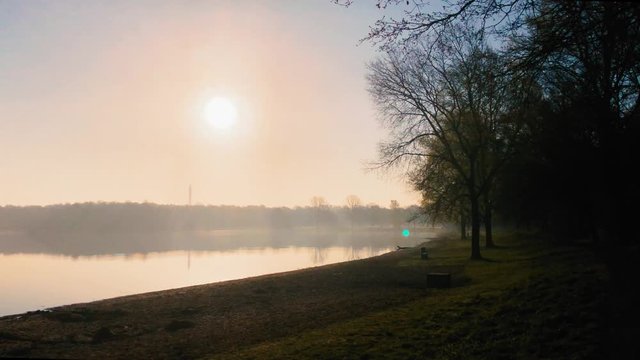  Tranquil rose scenery of a smooth lake mirroring the surrounding forest on a foggy morning in Bremen, Germany